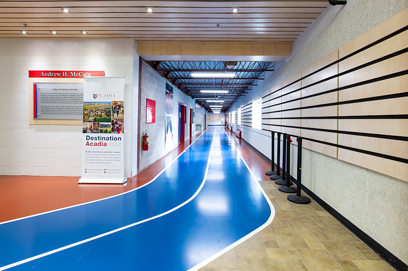 The walking track area bordering the canteen and field access